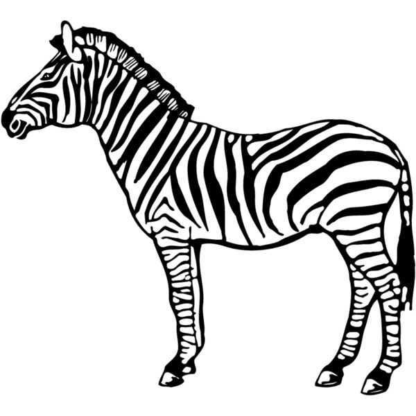ZEBRA004 Miniaturansicht
