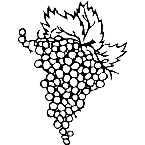 FRUIT004 Miniaturansicht