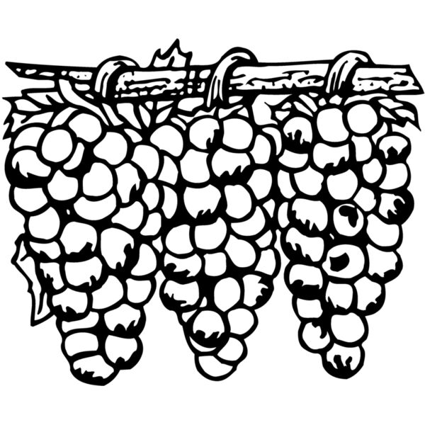 FRUIT015 Miniaturansicht