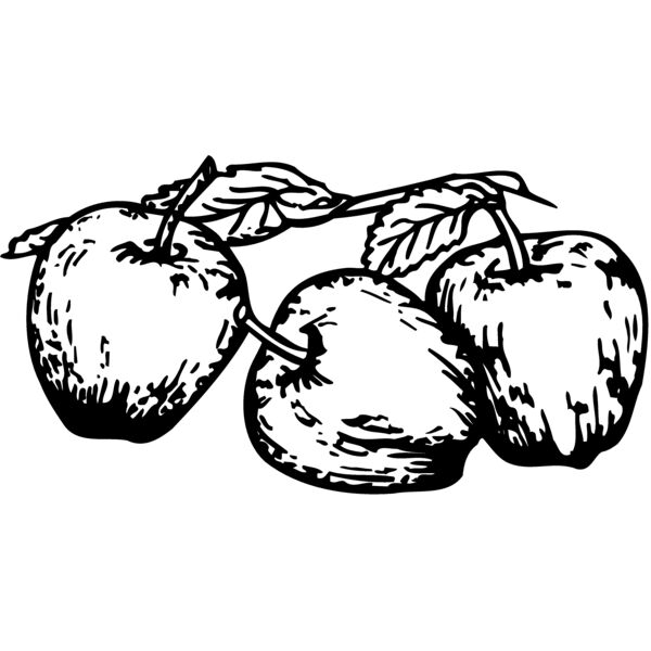 FRUIT018 Miniaturansicht