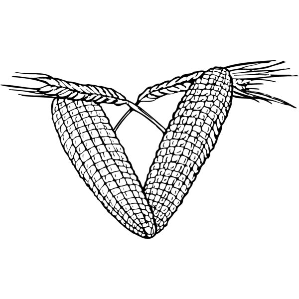 GRAIN003 Miniaturansicht