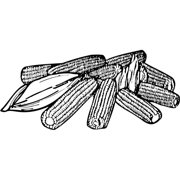 GRAIN005 Miniaturansicht