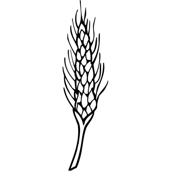 GRAIN010 Miniaturansicht