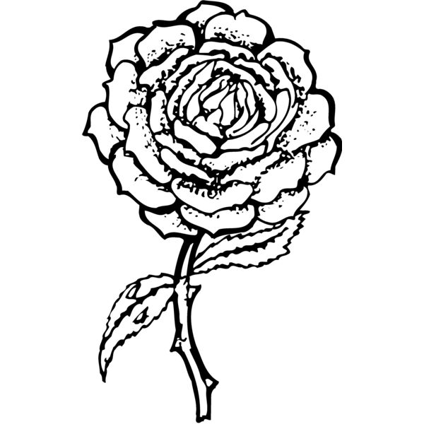 FLOWER05 Miniaturansicht