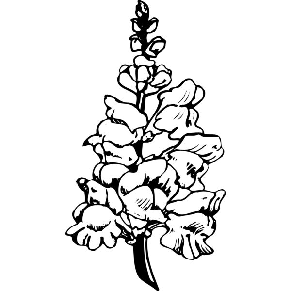 FLOWER14 Miniaturansicht