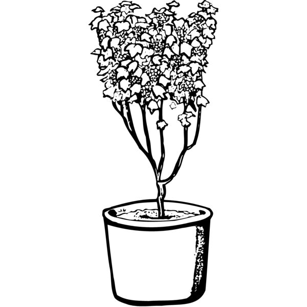 PLANT04 Miniaturansicht