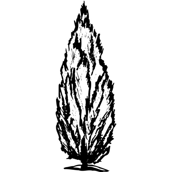 TREE0010 Miniaturansicht