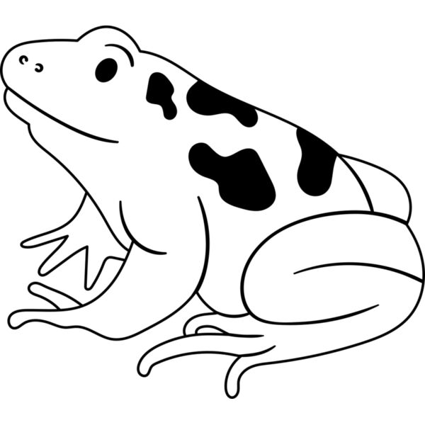 Frog   Clipart 1 Miniaturansicht