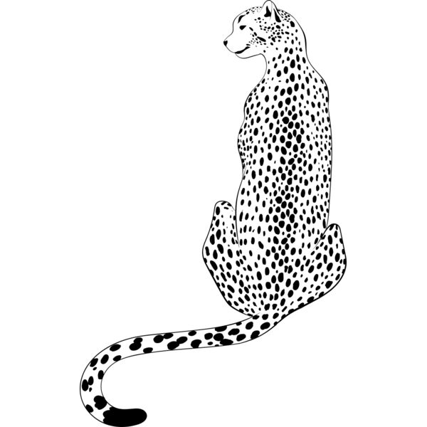 Leopard   Clipart 4 Miniaturansicht