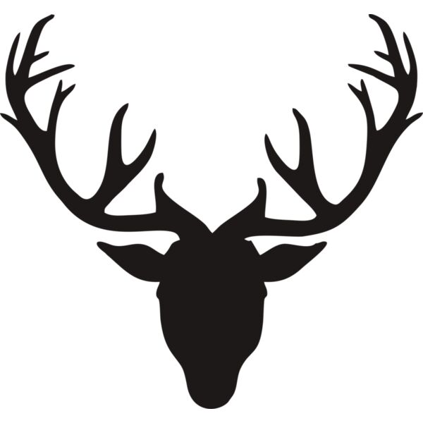 Hirsch Geweih Miniaturansicht