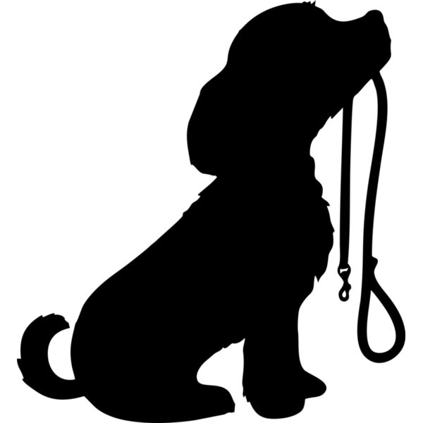 Hund Leine Miniaturansicht