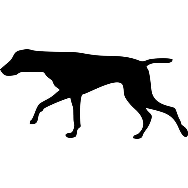 Hund Miniaturansicht